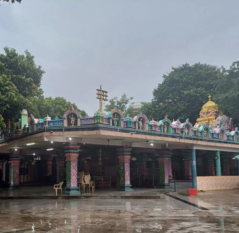 Peaceful Environment